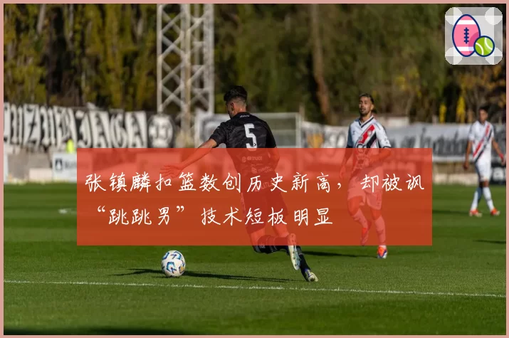 张镇麟扣篮数创历史新高,却被讽“跳跳男”技术短板明显